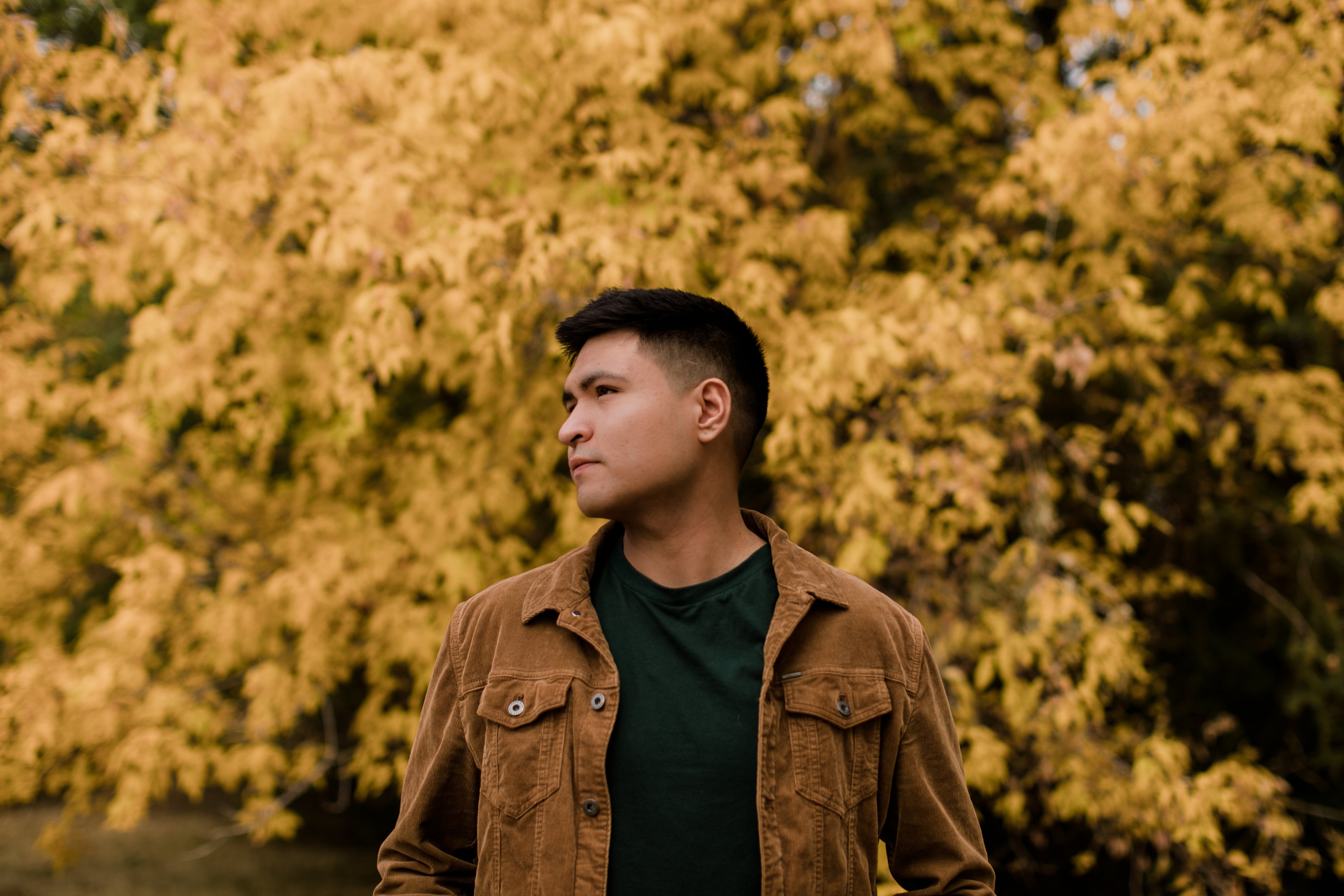 <em><strong>Alex L.</strong></em>